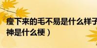 瘦下来的毛不易是什么样子(毛不易成颜值男神是什么梗)