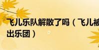 飞儿乐队解散了吗(飞儿被不知情情况下被踢出乐团)