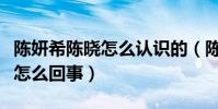 陈妍希陈晓怎么认识的(陈妍希与陈晓婚变是怎么回事)