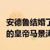 安德鲁结婚了吗？他的表演风格有点像《咆哮的皇帝马景涛》