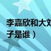 李嘉欣和大刘的事件什么情况（网传滚烫肉丸子是谁）