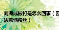 刘洲成被打是怎么回事(因表达对韩国艺人看法惹恼粉丝)