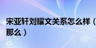 宋亚轩刘耀文关系怎么样(宋亚轩资源为什么那么)