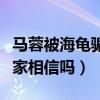 马蓉被海龟骗财又骗色是真的吗（马蓉澄清大家相信吗）