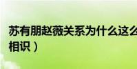 苏有朋赵薇关系为什么这么(两人因还珠格格相识)