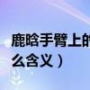鹿晗手臂上的纹身是怎么回事（他的纹身有什么含义）