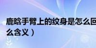 鹿晗手臂上的纹身是怎么回事(他的纹身有什么含义)