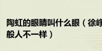 陶虹的眼睛叫什么眼(徐峥自夸陶虹眼睛和一般人不一样)