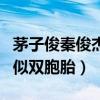 茅子俊秦俊杰什么关系引网友关注（两人长相似双胞胎）