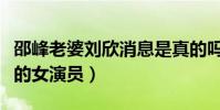 邵峰老婆刘欣消息是真的吗(她也是一位优秀的女演员)