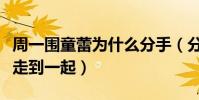 周一围童蕾为什么分手(分手之后的他和朱丹走到一起)