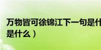 万物皆可徐锦江下一句是什么(这个梗的意思是什么)