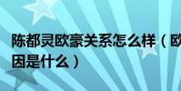 陈都灵欧豪关系怎么样(欧豪与马思纯分手原因是什么)