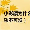 小彩旗为什么出名（小彩旗能上春晚她的姨妈功不可没）