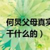 何炅父母真实身份大曝光（揭秘何炅的父母是干什么的）