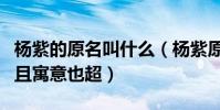 杨紫的原名叫什么(杨紫原名非常的高大上而且寓意也超)