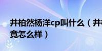 井柏然杨洋cp叫什么(井柏然杨洋的关系究竟怎么样)
