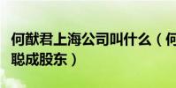 何猷君上海公司叫什么(何猷君公司上市王思聪成股东)