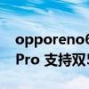 opporeno6pro支持的频段（OPPOReno6Pro 支持双5G吗）