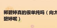 郭碧婷真的很单纯吗(向太究竟为什么喜欢郭碧婷呢)