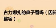 古力娜扎的鼻子看吗(因驼峰鼻不见而被质疑整容)