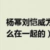 杨幂刘恺威为什么离的婚（刘恺威与杨幂是怎么在一起的）