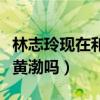 林志玲现在和黄渤有联系吗（林志玲真的喜欢黄渤吗）