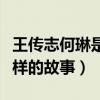 王传志何琳是什么电视剧（这部剧讲述了什么样的故事）
