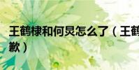 王鹤棣和何炅怎么了(王鹤棣为什么向何炅道歉)
