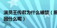 演员王传君为什么被禁(揭秘王传君被禁的原因什么呢)
