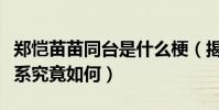 郑恺苗苗同台是什么梗(揭秘郑恺苗苗私下关系究竟如何)