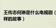 王传志何琳是什么电视剧(这部剧讲述了什么样的故事)