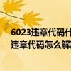 6023违章代码什么意思（7313违章代码是什么意思 7313违章代码怎么解决）