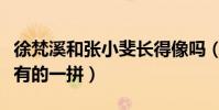 徐梵溪和张小斐长得像吗(她的发展与张小斐有的一拼)