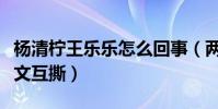 杨清柠王乐乐怎么回事(两人社交网站再次发文互撕)
