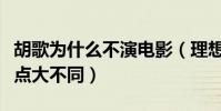胡歌为什么不演电影(理想派和现实派竟然观点大不同)