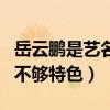 岳云鹏是艺名吗（岳云鹏的本名不难听但是却不够特色）