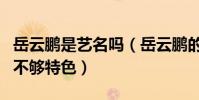 岳云鹏是艺名吗(岳云鹏的本名不难听但是却不够特色)
