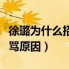徐璐为什么招黑引起网友热议（曾大方回应被骂原因）