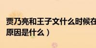 贾乃亮和王子文什么时候在一起的(两人分手原因是什么)