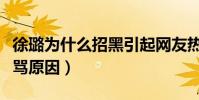 徐璐为什么招黑引起网友热议(曾大方回应被骂原因)