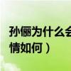 孙俪为什么会出演那年花开月正圆（这部剧剧情如何）