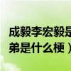 成毅李宏毅是一个人吗（成毅李宏毅被爆亲兄弟是什么梗）