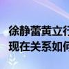 徐静蕾黄立行为什么不结婚（徐静蕾和黄立行现在关系如何）
