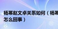 杨幂赵文卓关系如何(杨幂当年力挺赵文卓是怎么回事)