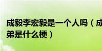 成毅李宏毅是一个人吗(成毅李宏毅被爆亲兄弟是什么梗)