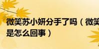 微笑苏小妍分手了吗(微笑苏小妍啪啪门事件是怎么回事)