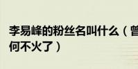 李易峰的粉丝名叫什么(曾为圈内顶流的他为何不火了)