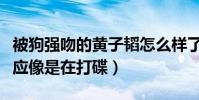 被狗强吻的黄子韬怎么样了(场面一度失控反应像是在打碟)