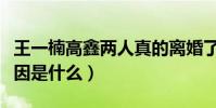 王一楠高鑫两人真的离婚了吗(两人的离婚原因是什么)